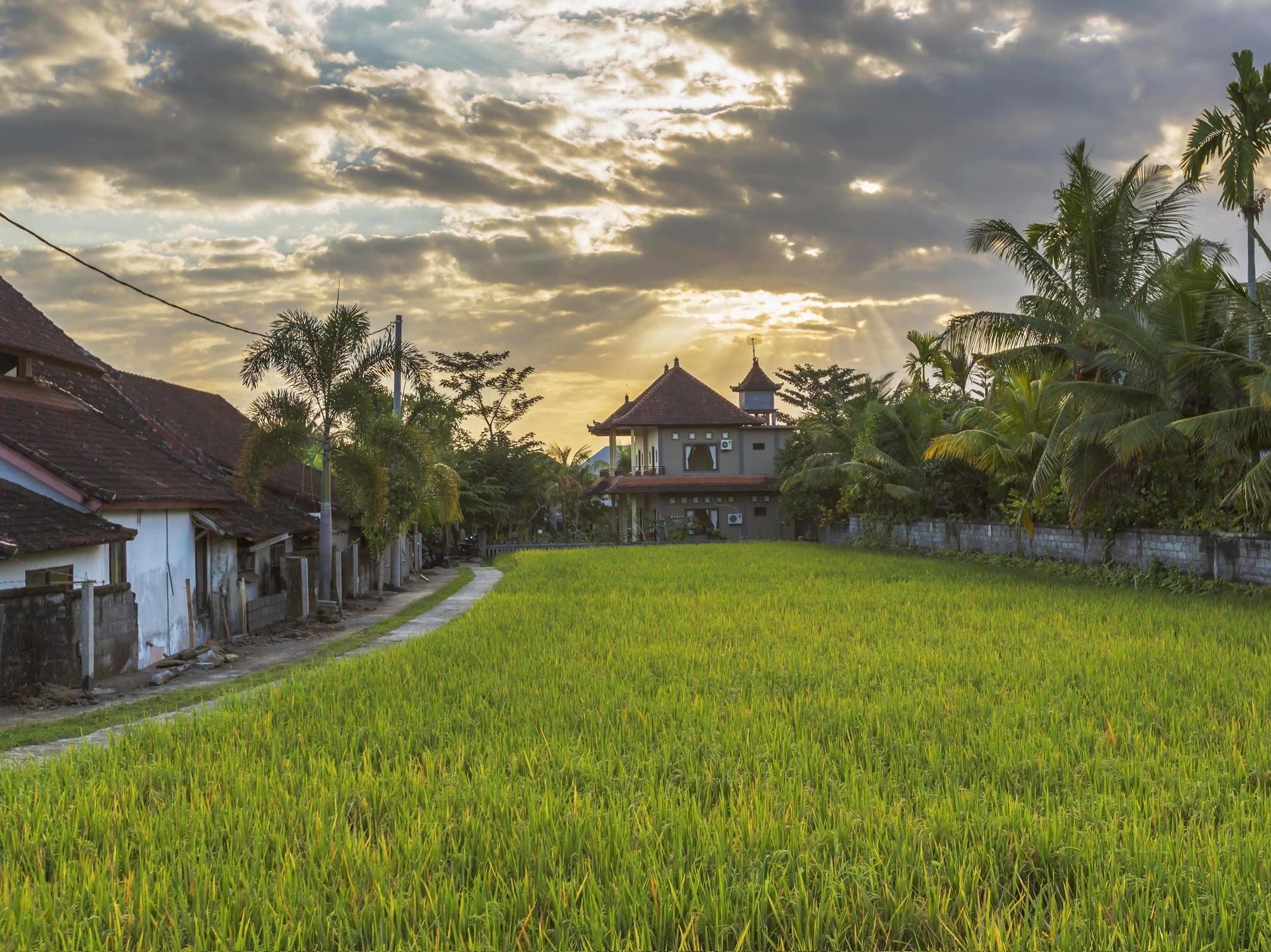 Abipraya Ubud Екстер'єр фото